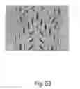 Fig. 68 - ZONAL PATTERNED APERTURED WEBS, LAMINATES, AND METHODS FOR MAKING THE SAME