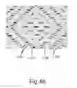 Fig. 71 - ZONAL PATTERNED APERTURED WEBS, LAMINATES, AND METHODS FOR MAKING THE SAME