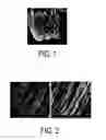 Fig. 02 - Reinforced composites, methods of manufacture, and articles therefrom