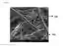 Fig. 05 - MELT-BLOWN FIBER WEB HAVING IMPROVED ELASTICITY AND COHESION, AND MANUFACTURING METHOD THEREFOR