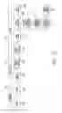 Fig. 07 - Fiber architecture optimization for ceramic matrix composites