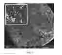 Fig. 03 - Methods of forming polymer coatings on metallic substrates