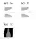 Fig. 06 - Liquid ejection head and process for producing the same
