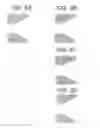 Fig. 07 - Liquid ejection head and process for producing the same