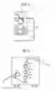 Fig. 03 - Image forming apparatus using a pre-processing liquid and a post-processing liquid, and an image forming method using a pre-processing liquid and a post-processing liquid