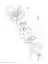 Fig. 07 - Vehicle wind direction adjuster