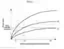 Fig. 06 - Fuel tank system
