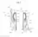 Fig. 02 - Rear-view mirror assembly for motor vehicles