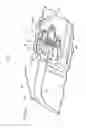 Fig. 02 - Seatbelt device bezel
