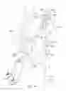 Fig. 05 - Web position adjustment and attenuation apparatus
