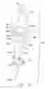 Fig. 13 - Web position adjustment and attenuation apparatus