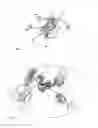 Fig. 03 - Steering columns for a motor vehicle and methods for manufacturing same