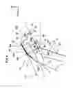 Fig. 05 - STEERING SUPPORT STRUCTURE