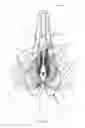 Fig. 08 - Bicycle saddle