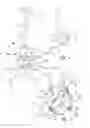 Fig. 02 - Steering assemblies for multi-wheeled vehicles and multi-wheeled vehicles including the steering assemblies