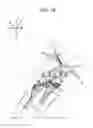 Fig. 17 - Vehicle