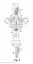 Fig. 03 - Foldable motorized bicycle