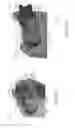 Fig. 08 - Automated cable breakout assembly