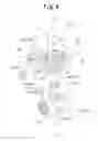 Fig. 05 - Outboard motor