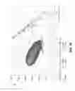 Fig. 18 - Hybrid VTOL vehicle