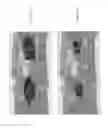 Fig. 19 - Satellite system and method for global coverage