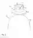 Fig. 05 - DRINKS BOTTLE WITH FEED POSSIBILITY FOR A GASEOUS MEDIUM