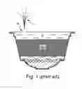 Fig. 02 - Capsule for food or beverage preparation