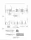 Fig. 22 - Storage and retrieval system case unit detection