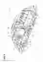 Fig. 07 - Print medium feed unit and image formation apparatus