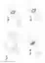 Fig. 04 - Method for producing coreless rolls of paper