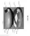 Fig. 10 - Apparatus for storing and dispensing wine