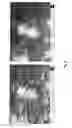 Fig. 03 - Elemental selenium nanoparticles and production method