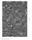 Fig. 02 - BORON NITRIDE NANOSHEETS AND METHODS OF MAKING AND USING THE SAME