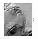 Fig. 09 - BORON NITRIDE NANOSHEETS AND METHODS OF MAKING AND USING THE SAME