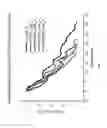 Fig. 18 - BORON NITRIDE NANOSHEETS AND METHODS OF MAKING AND USING THE SAME