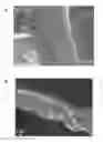 Fig. 01 - Highly porous aerogels