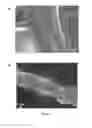 Fig. 02 - Highly porous aerogels