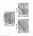 Fig. 12 - CNT metal composite material, and method for producing same