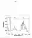 Fig. 02 - METHOD FOR SEPARATING METALLIC SINGLE-WALLED CARBON NANOTUBE FROM SEMICONDUCTIVE SINGLE-WALLED CARBON NANOTUBE