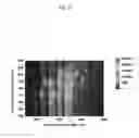 Fig. 03 - METHOD FOR SEPARATING METALLIC SINGLE-WALLED CARBON NANOTUBE FROM SEMICONDUCTIVE SINGLE-WALLED CARBON NANOTUBE