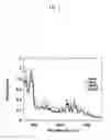 Fig. 08 - METHOD FOR SEPARATING METALLIC SINGLE-WALLED CARBON NANOTUBE FROM SEMICONDUCTIVE SINGLE-WALLED CARBON NANOTUBE