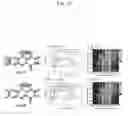 Fig. 14 - METHOD FOR SEPARATING METALLIC SINGLE-WALLED CARBON NANOTUBE FROM SEMICONDUCTIVE SINGLE-WALLED CARBON NANOTUBE