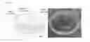 Fig. 03 - LARGE-AREA GRAPHENE TRANSFER METHOD