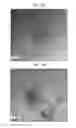 Fig. 04 - Graphene quantum dots with different types and method for obtaining each of different types of graphene quantum dots
