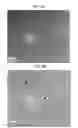 Fig. 09 - Graphene quantum dots with different types and method for obtaining each of different types of graphene quantum dots
