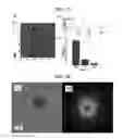 Fig. 22 - Graphene quantum dots with different types and method for obtaining each of different types of graphene quantum dots
