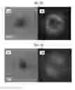 Fig. 23 - Graphene quantum dots with different types and method for obtaining each of different types of graphene quantum dots