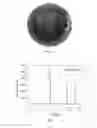 Fig. 04 - Ultrahard nanotwinned diamond bulk material and method for preparing the same