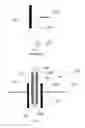 Fig. 02 - Plasma spark discharge reactor and durable electrode