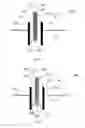 Fig. 03 - Plasma spark discharge reactor and durable electrode